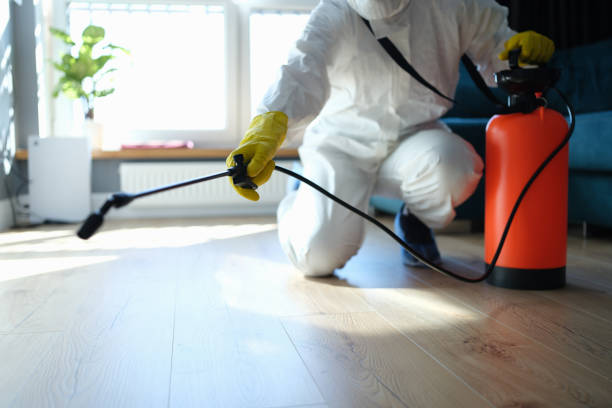 Reliable Blood Cleanup contractor in Buffalo Creek, CO by Trauma Clean Pros